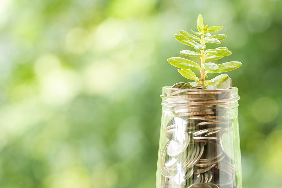 Your Financial Lifeline