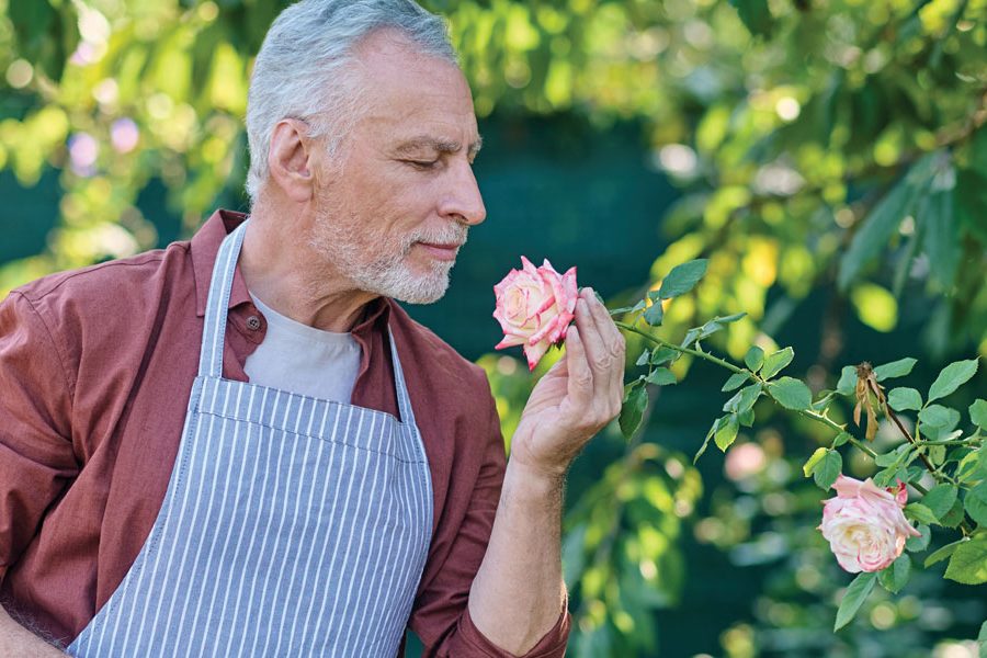 Gardening is not a dying art